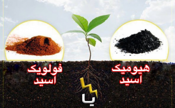 تفاوت بین اسید هیومیک و اسید فولویک و کاربردهای کشاورزی آنها